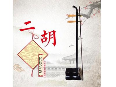 招聘深圳二胡家教老师